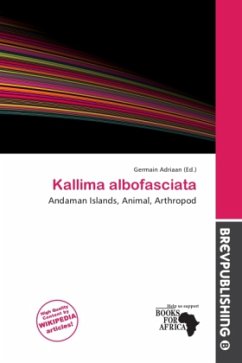 Cover Kallima albofasciata