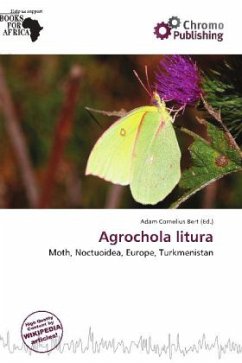 Cover Agrochola litura