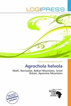 Agrochola helvola