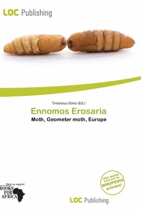 Ennomos Erosaria Ennomos Erosaria