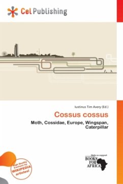 Cossus cossus