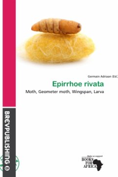 Cover Epirrhoe rivata