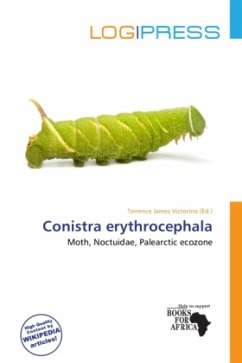 Conistra erythrocephala