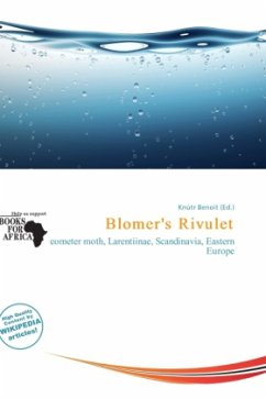 Cover Blomer's Rivulet