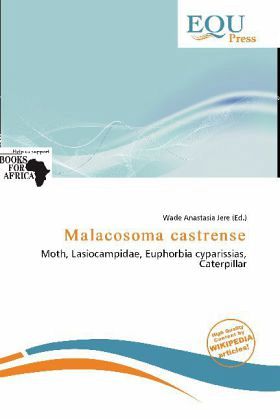 Malacosoma castrense Malacosoma castrense
