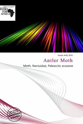 Antler Moth