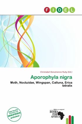 Aporophyla nigra Aporophyla nigra