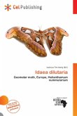 Idaea dilutaria Idaea dilutaria