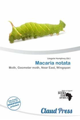 Macaria notata