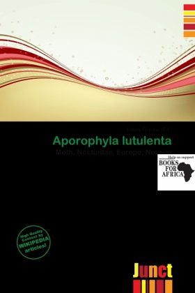 Aporophyla lutulenta Aporophyla lutulenta