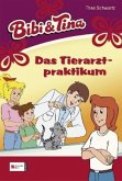 Das Tierarztpraktikum / Bibi & Tina Bd.43