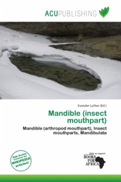 Cover Mandible (insect mouthpart)