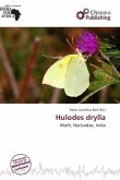 Hulodes drylla Hulodes drylla