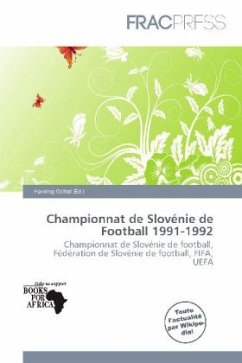 Championnat de Slovénie de Football 1991-1992