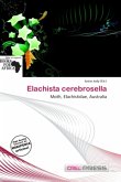 Elachista cerebrosella