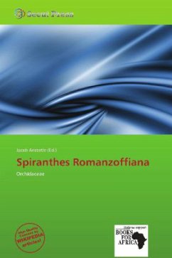 Spiranthes Romanzoffiana