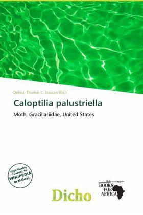 Caloptilia palustriella Caloptilia palustriella