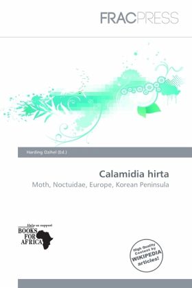 Calamidia hirta Calamidia hirta