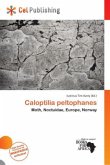 Caloptilia peltophanes Caloptilia peltophanes