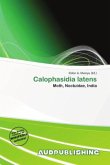 Calophasidia latens