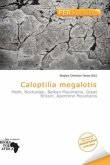 Caloptilia megalotis