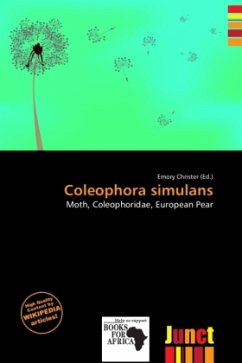 Coleophora simulans Coleophora simulans