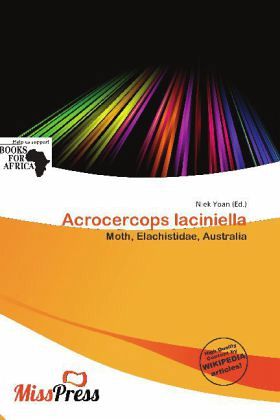 Acrocercops laciniella Acrocercops laciniella