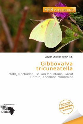 Gibbovalva tricuneatella Gibbovalva tricuneatella