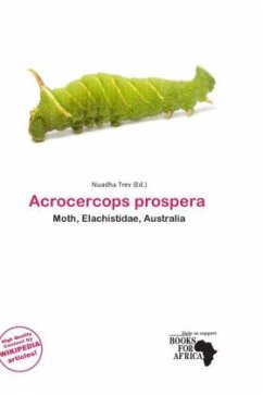 Acrocercops prospera