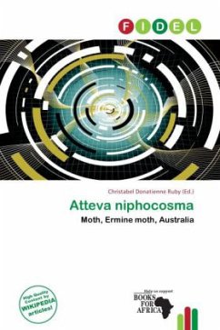 Atteva niphocosma