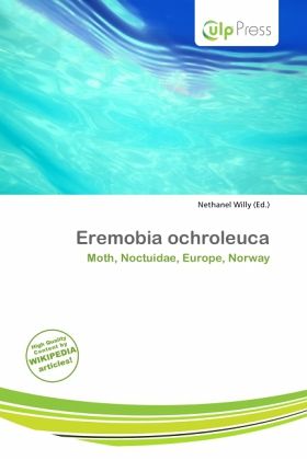 Eremobia ochroleuca Eremobia ochroleuca