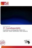 31 Camelopardalis