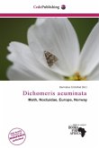 Dichomeris acuminata Dichomeris acuminata