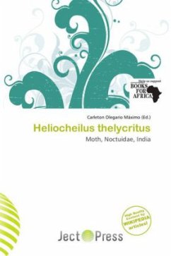 Heliocheilus thelycritus