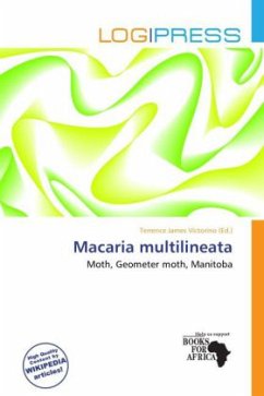 Macaria multilineata