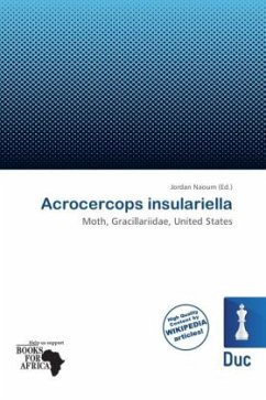 Acrocercops insulariella