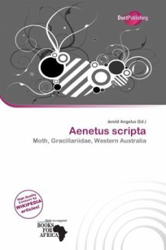 Cover Aenetus scripta