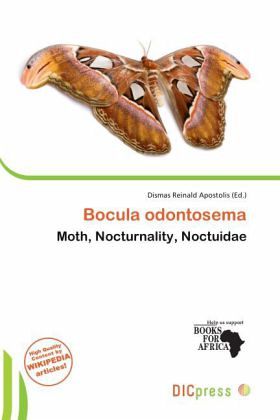 Bocula odontosema Bocula odontosema