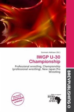 IWGP U-30 Championship