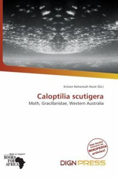 Caloptilia scutigera