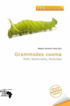 Grammodes cooma