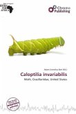 Caloptilia invariabilis