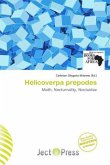 Helicoverpa prepodes Helicoverpa prepodes