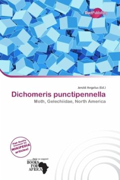 Dichomeris punctipennella Dichomeris punctipennella