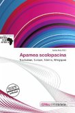 Apamea scolopacina