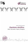 Elachista stictifica Elachista stictifica