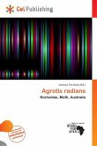 Agrotis radians Agrotis radians
