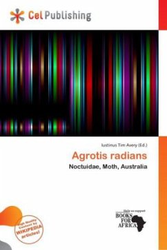 Agrotis radians