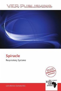 Spiracle