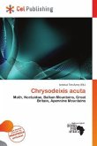 Chrysodeixis acuta Chrysodeixis acuta